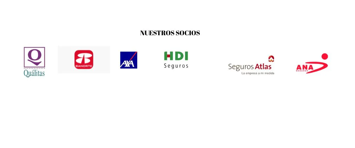QUALITAS,SEGUROS BANORTE,AXA,HDI SEGUROS,SEGUROS ATLAS,ANA SEGUROS